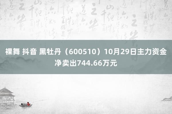 裸舞 抖音 黑牡丹（600510）10月29日主力资金净卖出744.66万元