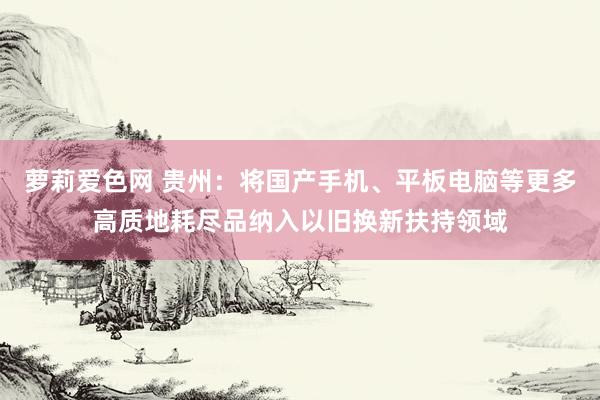萝莉爱色网 贵州：将国产手机、平板电脑等更多高质地耗尽品纳入以旧换新扶持领域