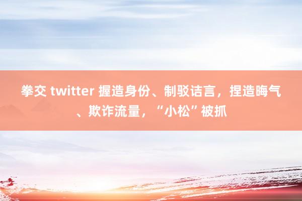 拳交 twitter 握造身份、制驳诘言，捏造晦气、欺诈流量，“小松”被抓