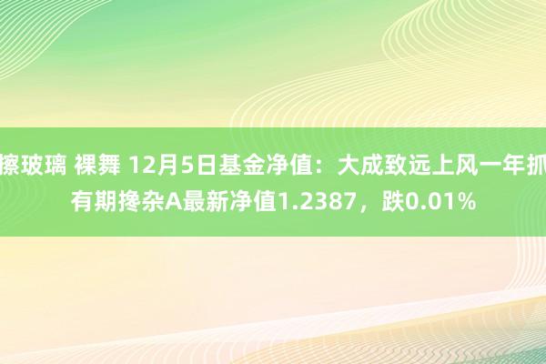 擦玻璃 裸舞 12月5日基金净值：大成致远上风一年抓有期搀杂A最新净值1.2387，跌0.01%