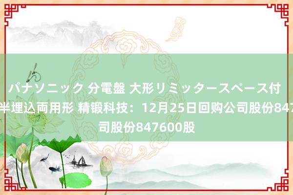 パナソニック 分電盤 大形リミッタースペース付 露出・半埋込両用形 精锻科技：12月25日回购公司股份847600股