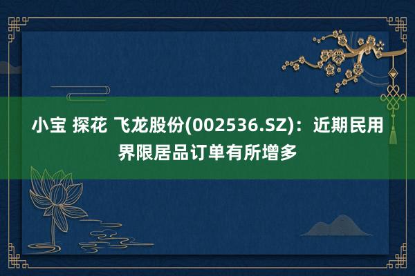 小宝 探花 飞龙股份(002536.SZ)：近期民用界限居品订单有所增多