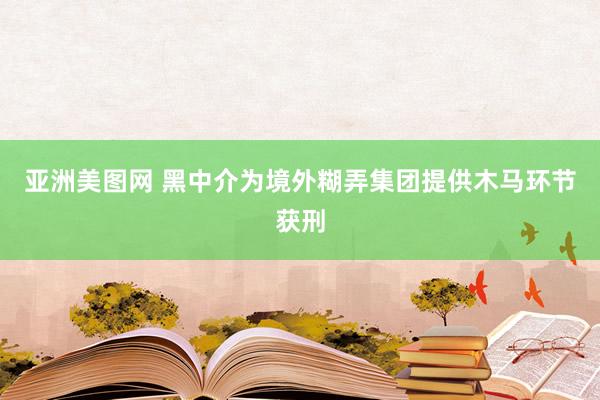 亚洲美图网 黑中介为境外糊弄集团提供木马环节获刑