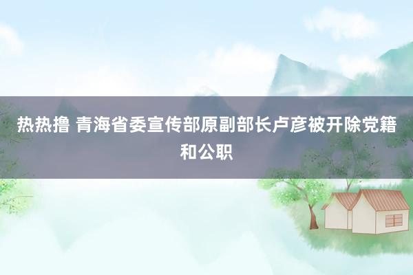 热热撸 青海省委宣传部原副部长卢彦被开除党籍和公职