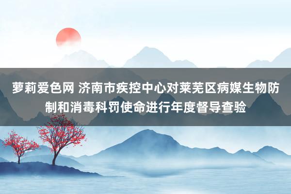 萝莉爱色网 济南市疾控中心对莱芜区病媒生物防制和消毒科罚使命进行年度督导查验