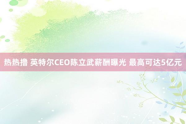热热撸 英特尔CEO陈立武薪酬曝光 最高可达5亿元