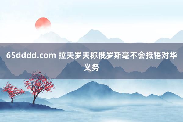 65dddd.com 拉夫罗夫称俄罗斯毫不会抵牾对华义务