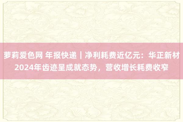 萝莉爱色网 年报快递｜净利耗费近亿元：华正新材2024年齿迹呈成就态势，营收增长耗费收窄