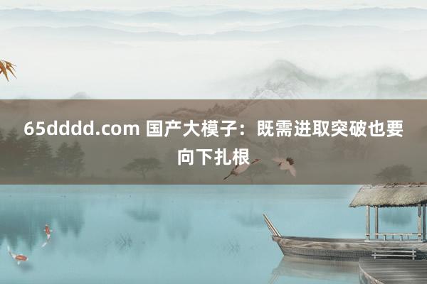 65dddd.com 国产大模子：既需进取突破也要向下扎根