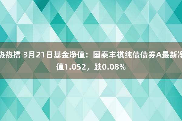 热热撸 3月21日基金净值：国泰丰祺纯债债券A最新净值1.052，跌0.08%