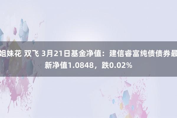 姐妹花 双飞 3月21日基金净值：建信睿富纯债债券最新净值1.0848，跌0.02%