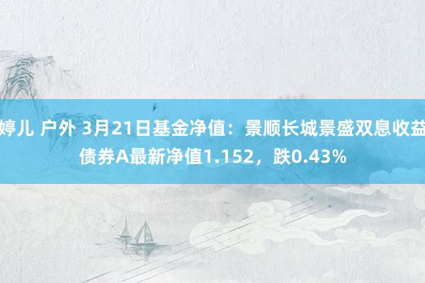 婷儿 户外 3月21日基金净值：景顺长城景盛双息收益债券A最新净值1.152，跌0.43%