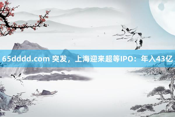 65dddd.com 突发，上海迎来超等IPO：年入43亿