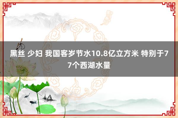 黑丝 少妇 我国客岁节水10.8亿立方米 特别于77个西湖水量