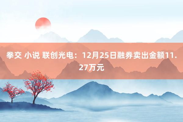拳交 小说 联创光电：12月25日融券卖出金额11.27万元