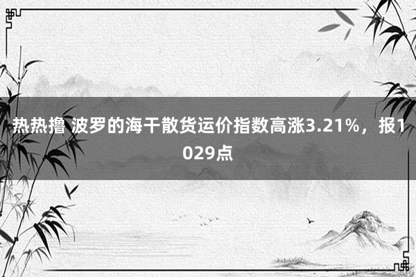 热热撸 波罗的海干散货运价指数高涨3.21%，报1029点