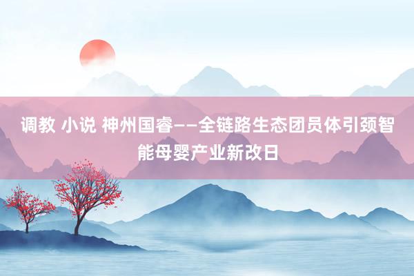调教 小说 神州国睿——全链路生态团员体引颈智能母婴产业新改日