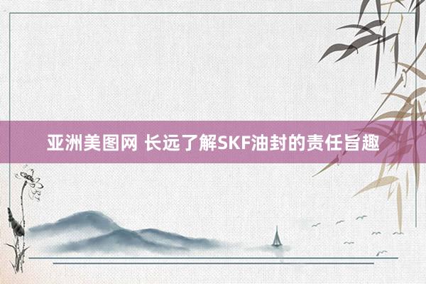 亚洲美图网 长远了解SKF油封的责任旨趣