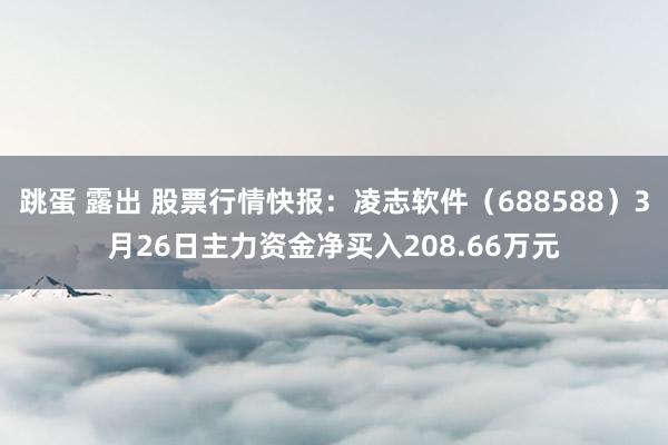 跳蛋 露出 股票行情快报：凌志软件（688588）3月26日主力资金净买入208.66万元