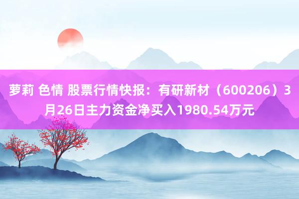 萝莉 色情 股票行情快报：有研新材（600206）3月26日主力资金净买入1980.54万元