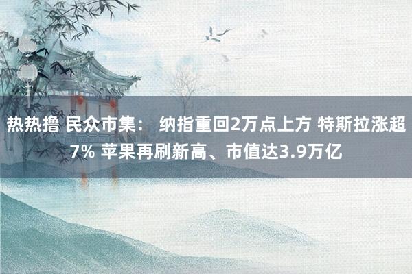 热热撸 民众市集： 纳指重回2万点上方 特斯拉涨超7% 苹果再刷新高、市值达3.9万亿