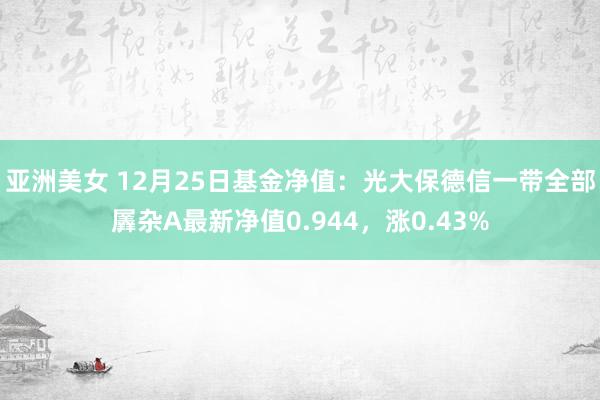 亚洲美女 12月25日基金净值：光大保德信一带全部羼杂A最新净值0.944，涨0.43%