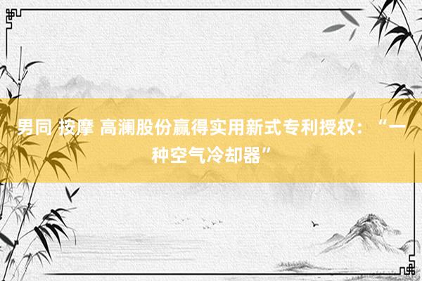 男同 按摩 高澜股份赢得实用新式专利授权：“一种空气冷却器”