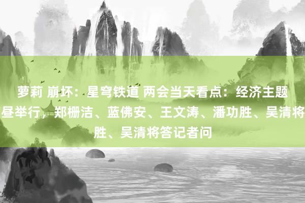 萝莉 崩坏：星穹铁道 两会当天看点：经济主题记者会下昼举行，郑栅洁、蓝佛安、王文涛、潘功胜、吴清将答记者问