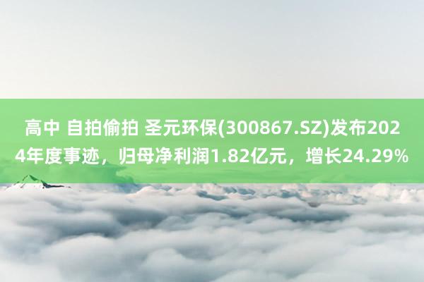 高中 自拍偷拍 圣元环保(300867.SZ)发布2024年度事迹，归母净利润1.82亿元，增长24.29%