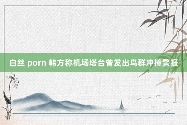 白丝 porn 韩方称机场塔台曾发出鸟群冲撞警报