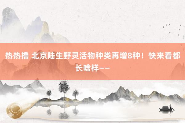 热热撸 北京陆生野灵活物种类再增8种！快来看都长啥样——