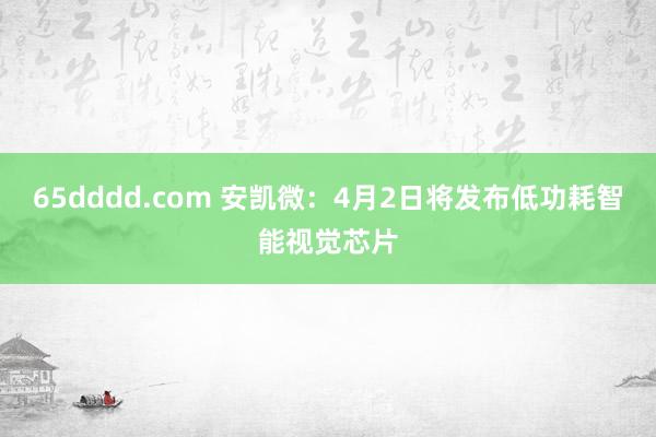 65dddd.com 安凯微：4月2日将发布低功耗智能视觉芯片