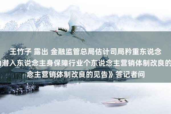 王竹子 露出 金融监管总局估计司局矜重东说念主就 《对于推动潜入东说念主身保障行业个东说念主营销体制改良的见告》答记者问