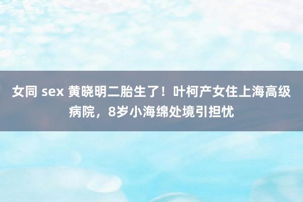 女同 sex 黄晓明二胎生了！叶柯产女住上海高级病院，8岁小海绵处境引担忧