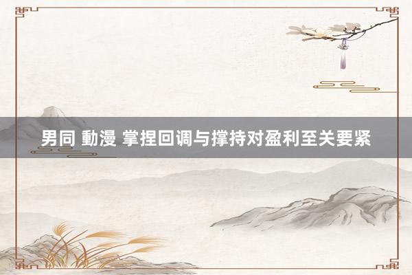 男同 動漫 掌捏回调与撑持对盈利至关要紧