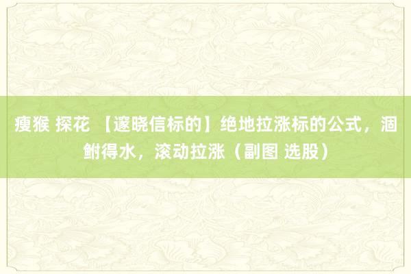 瘦猴 探花 【邃晓信标的】绝地拉涨标的公式，涸鲋得水，滚动拉涨（副图 选股）
